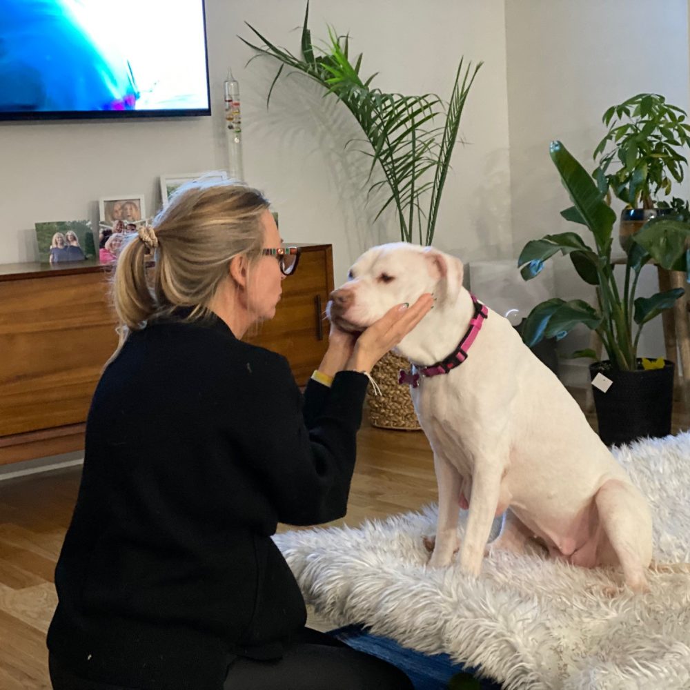 foster dogs and their foster mom