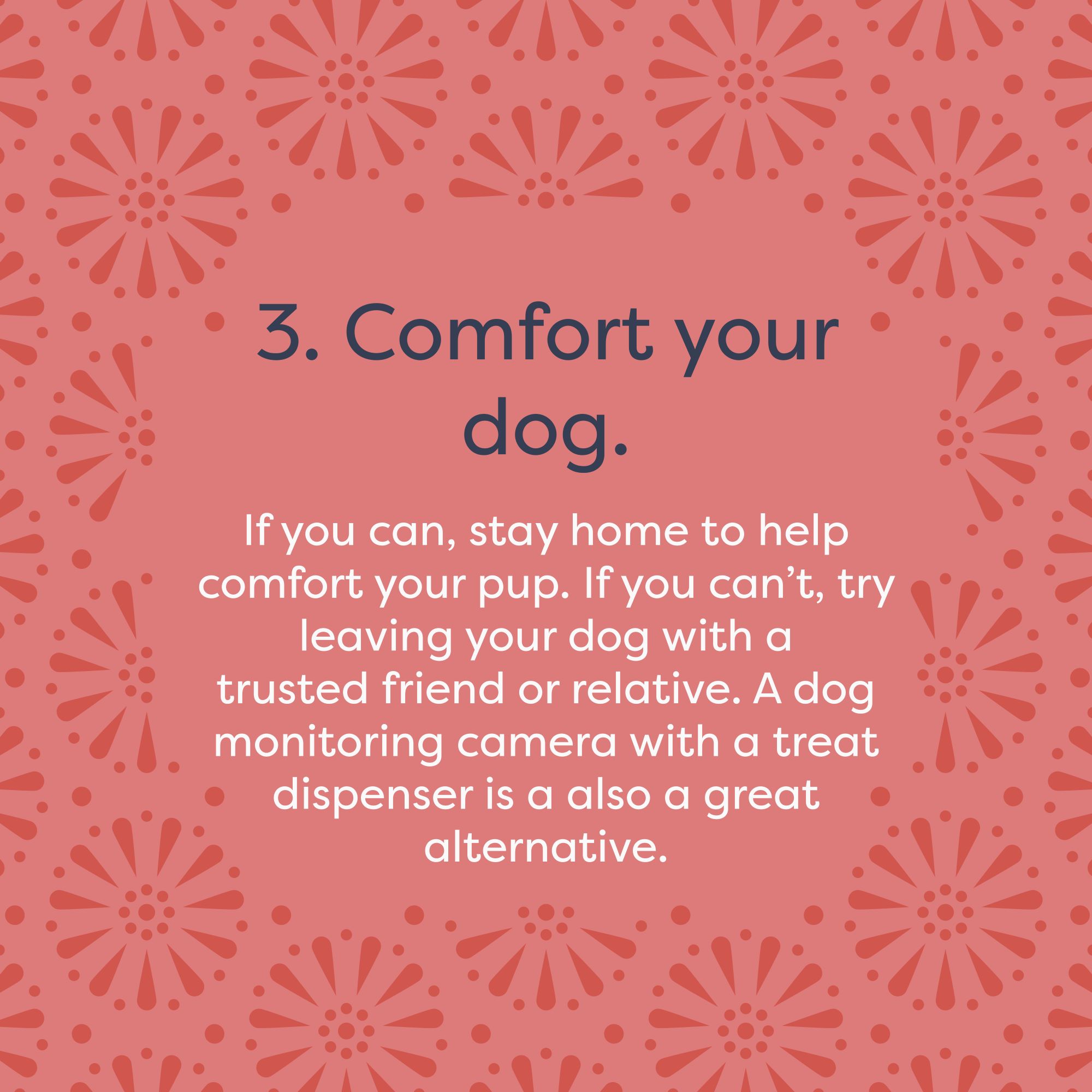 dog firework anxiety tips - comfort your dog