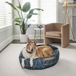 dog laying in blue round large dog bed
