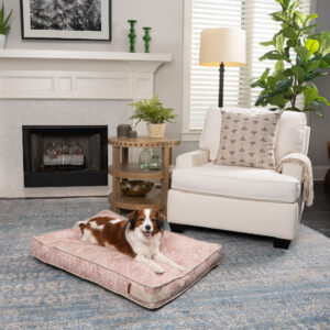 dog laying in medium red dog bed