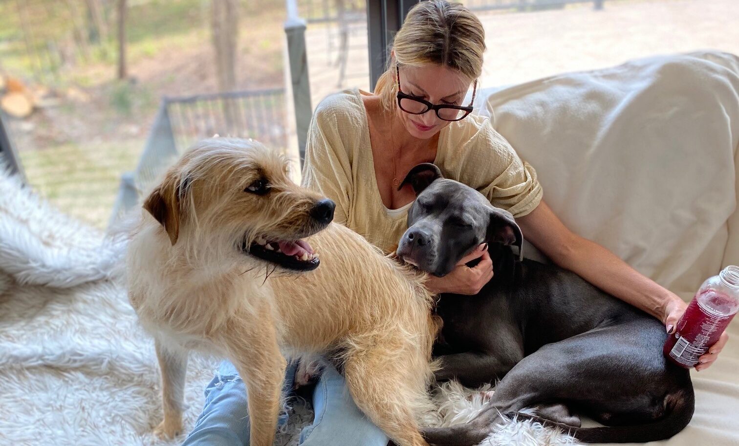 foster dogs and their foster mom