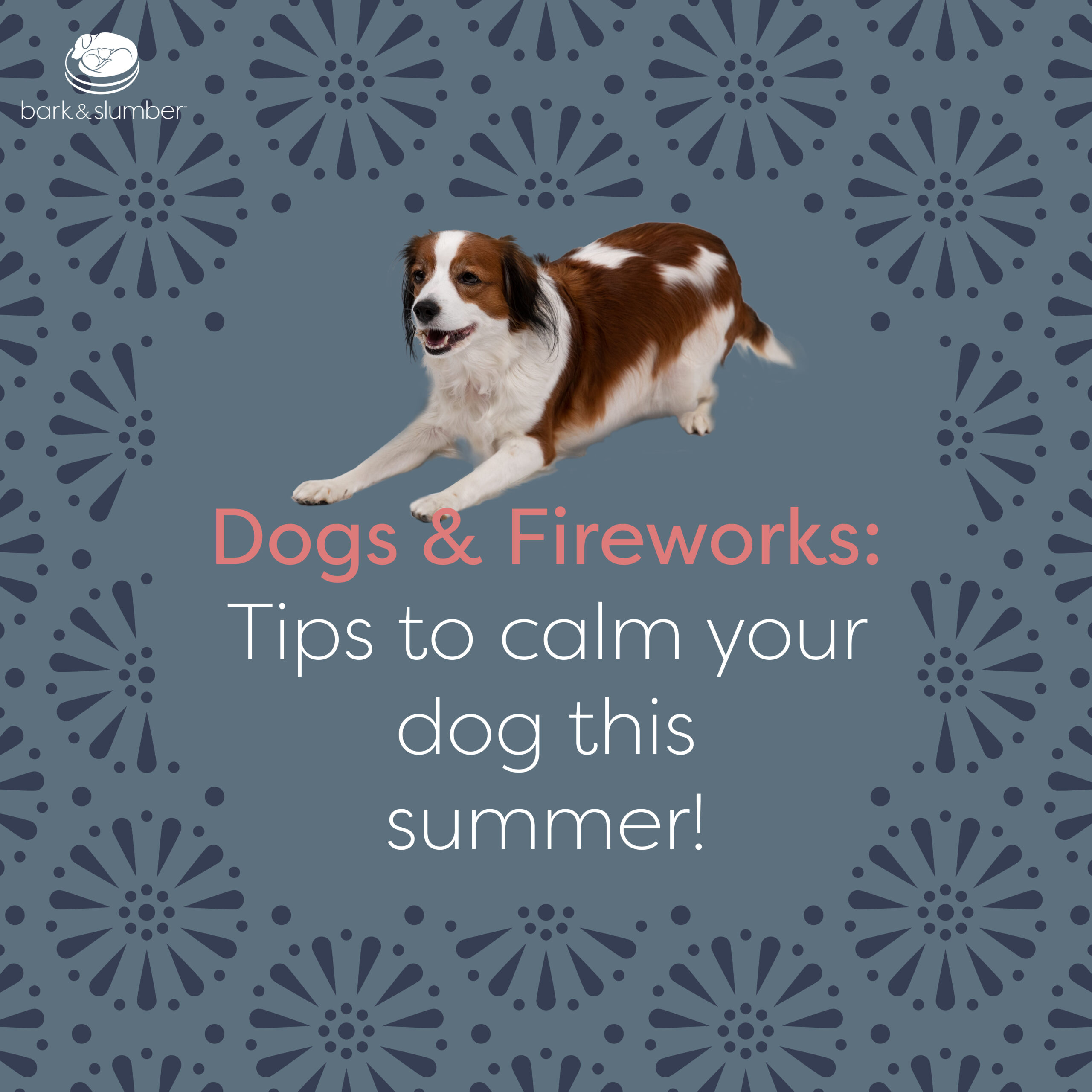 dog firework anxiety tips