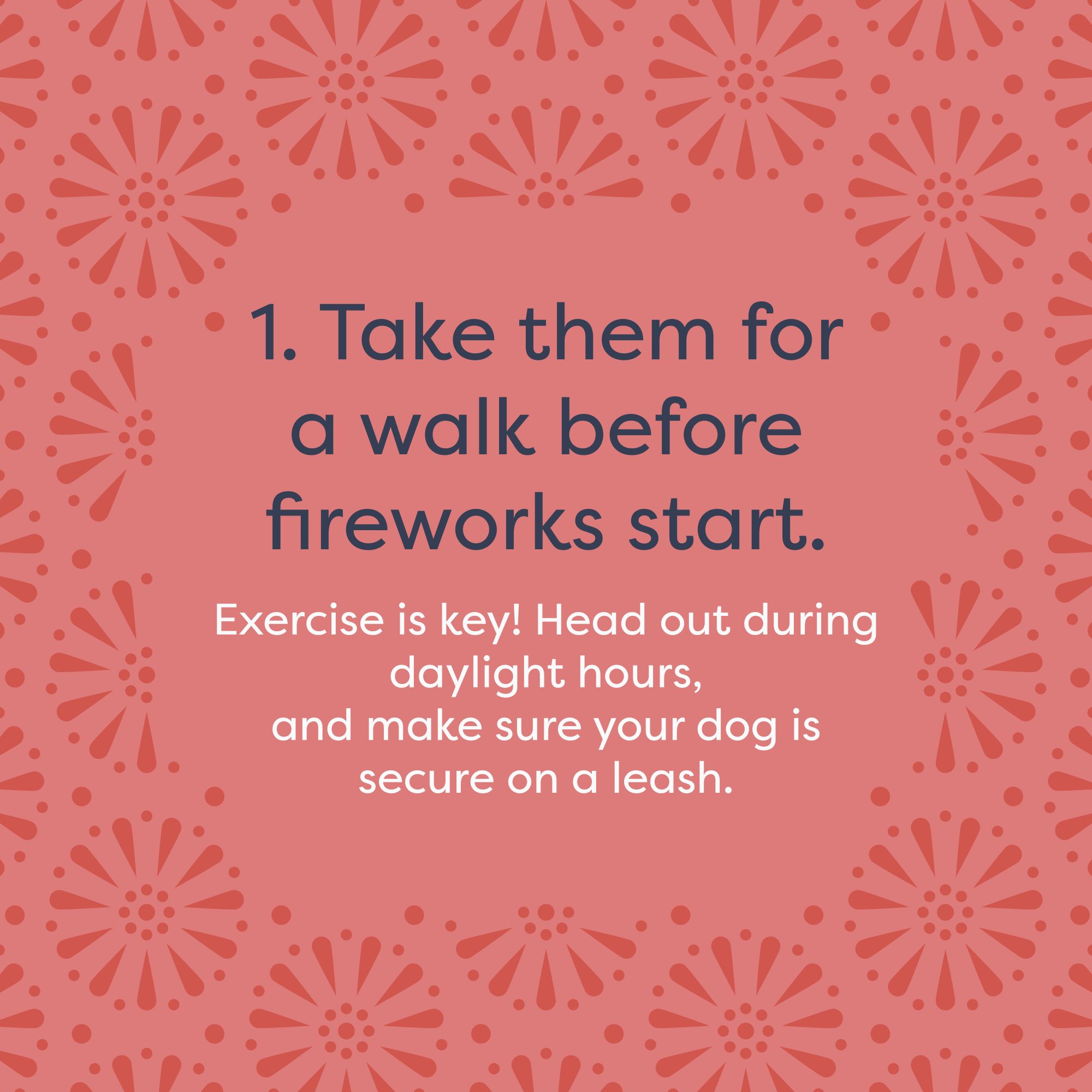 dog firework anxiety tips - take them for a walk before fireworks start
