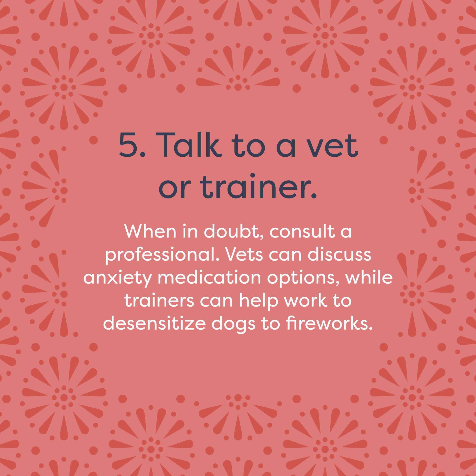dog firework anxiety tips - talk to a vet or trainer