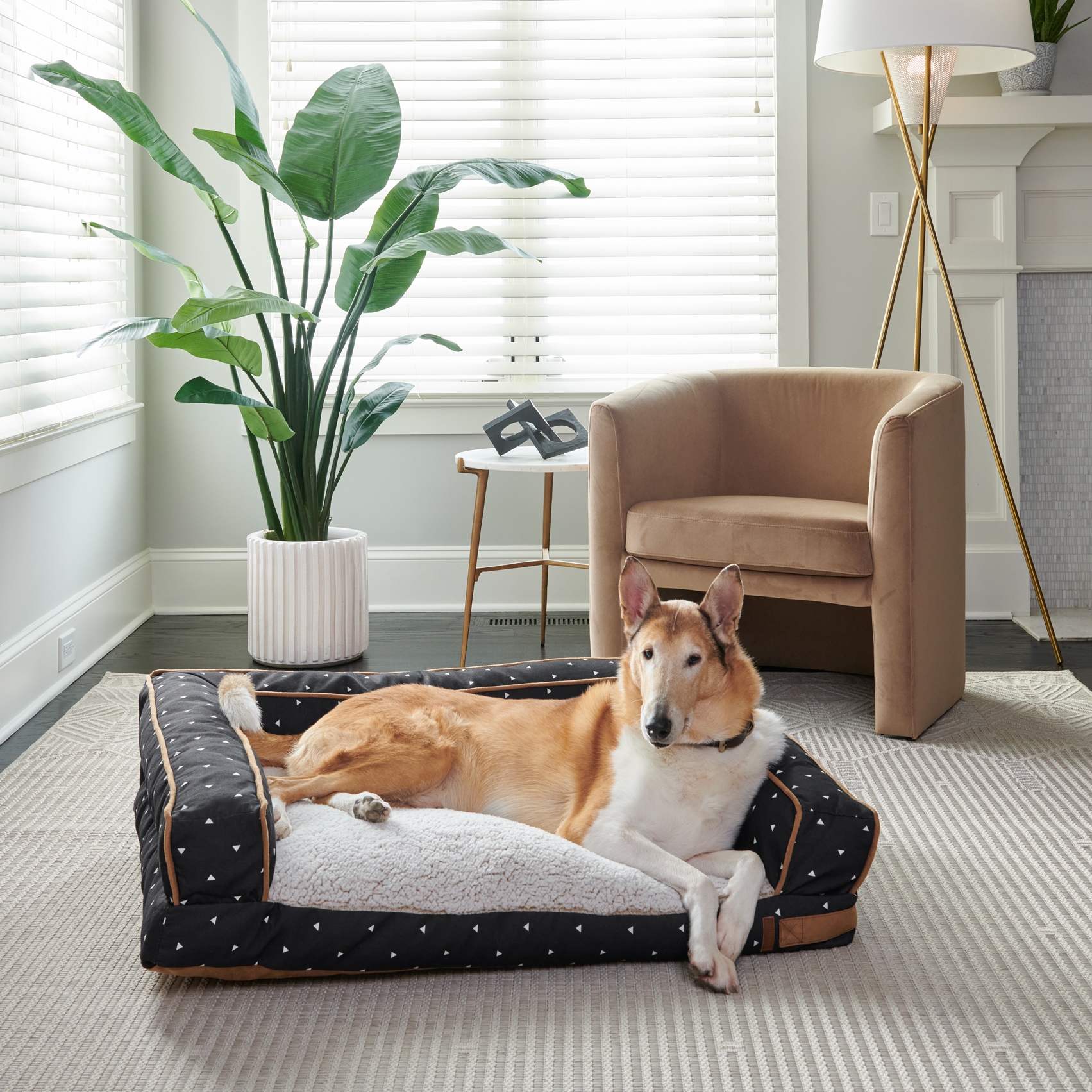 Large Polyfill Sofa Style Dog Bed