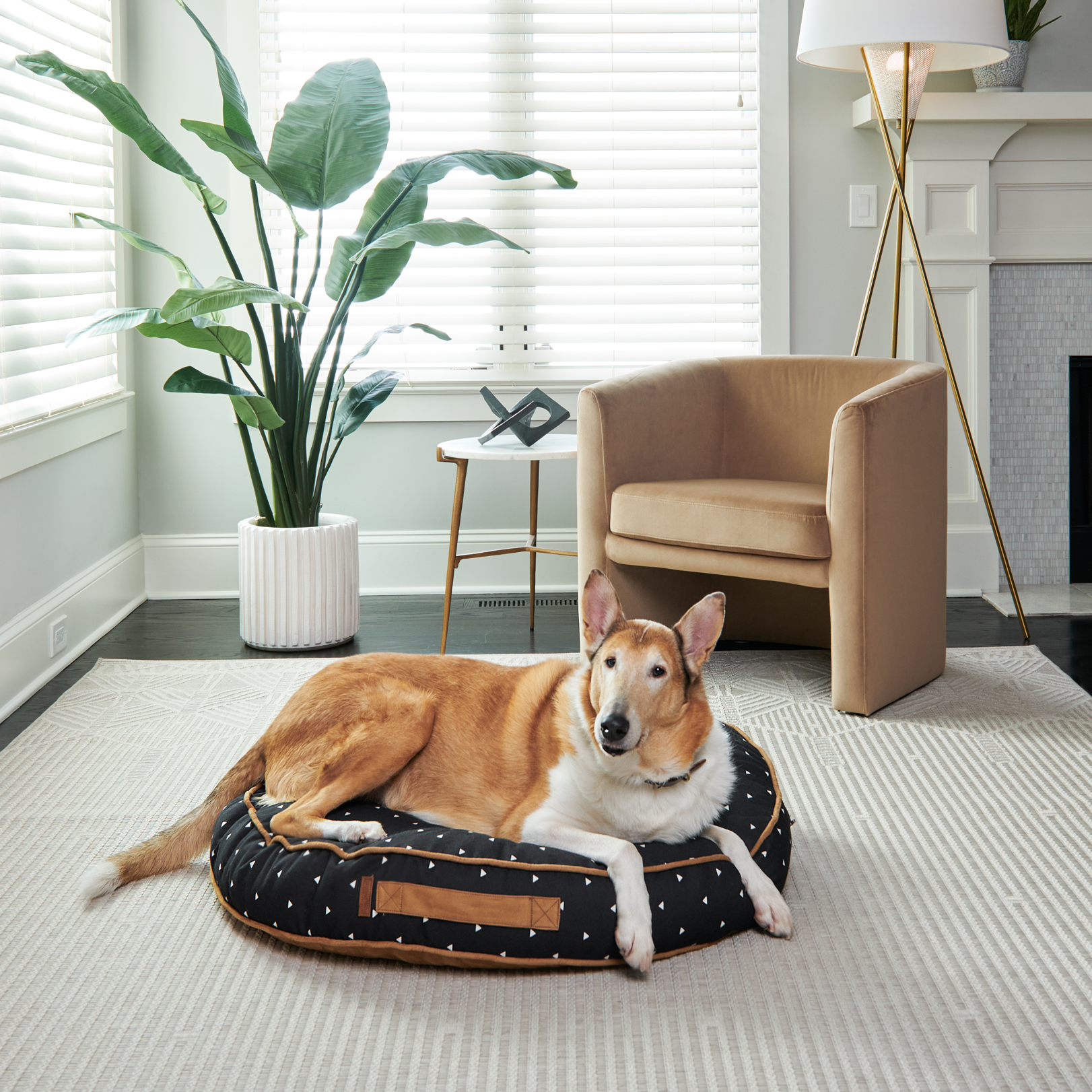 【もございま】 Bark Triangles Black Medium Round Cloud Dog Bed Cover並行輸入品