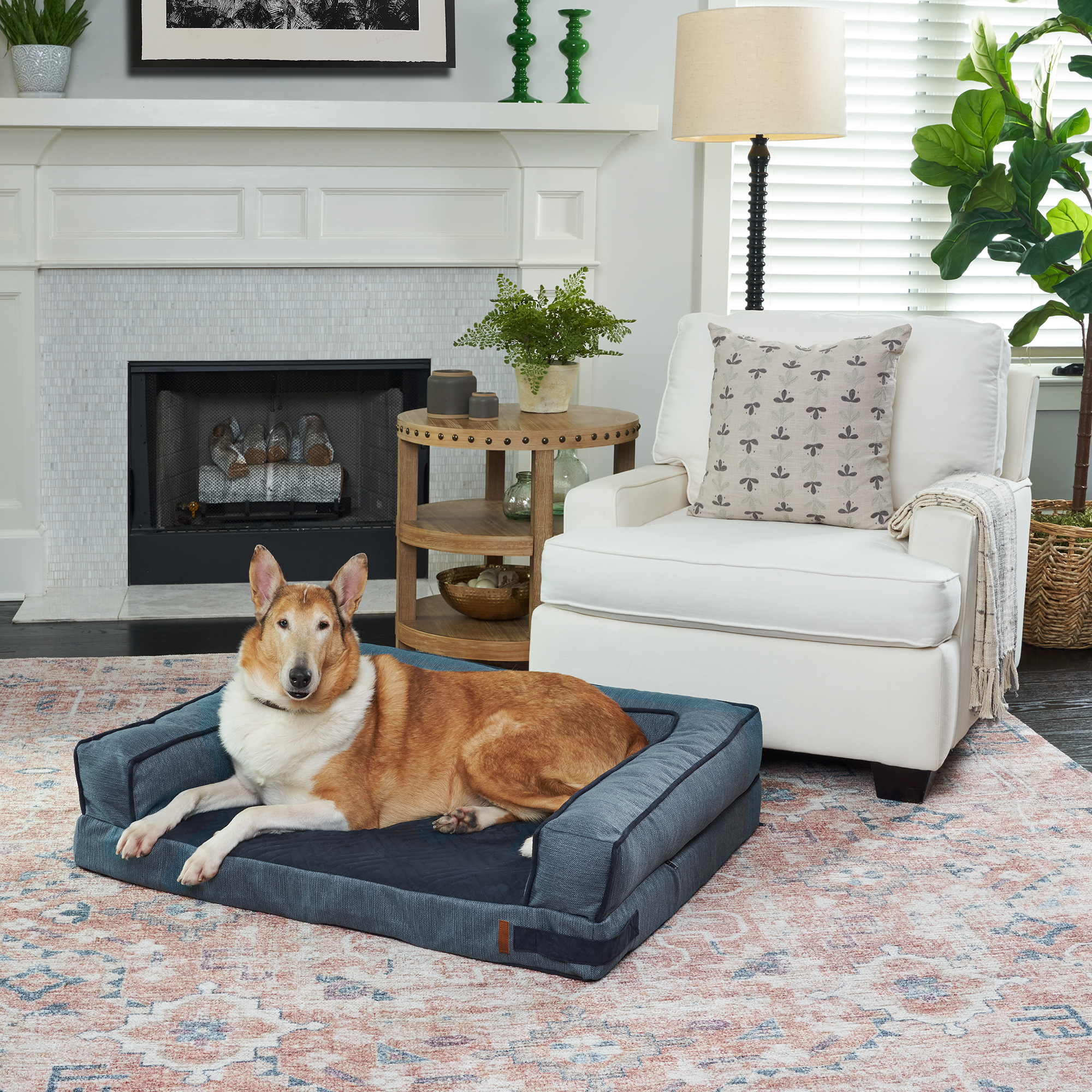 Large Foam Sofa Style Dog Bed