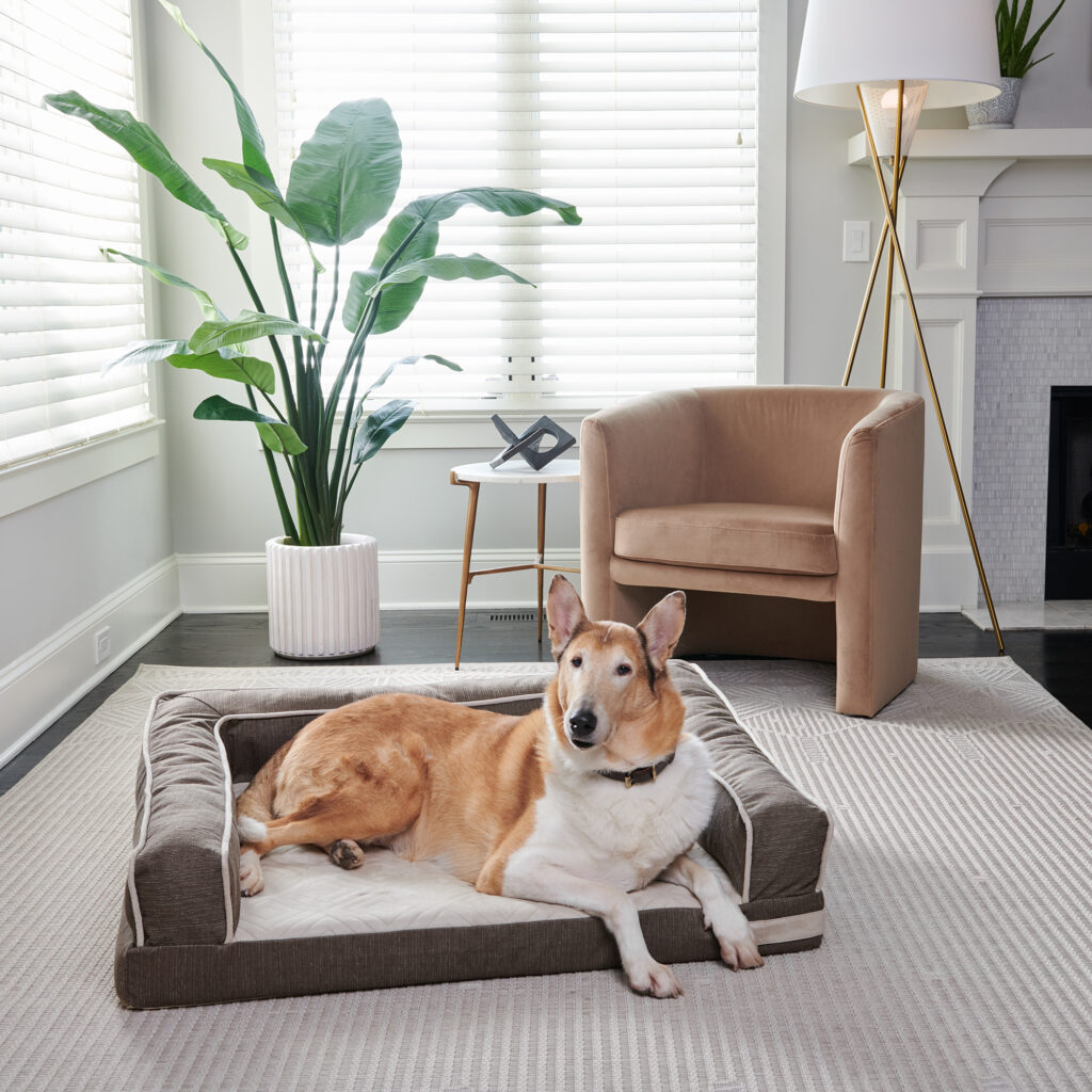 Bentley Brown Large Foam Sofa Style Dog Bed Bark & Slumber